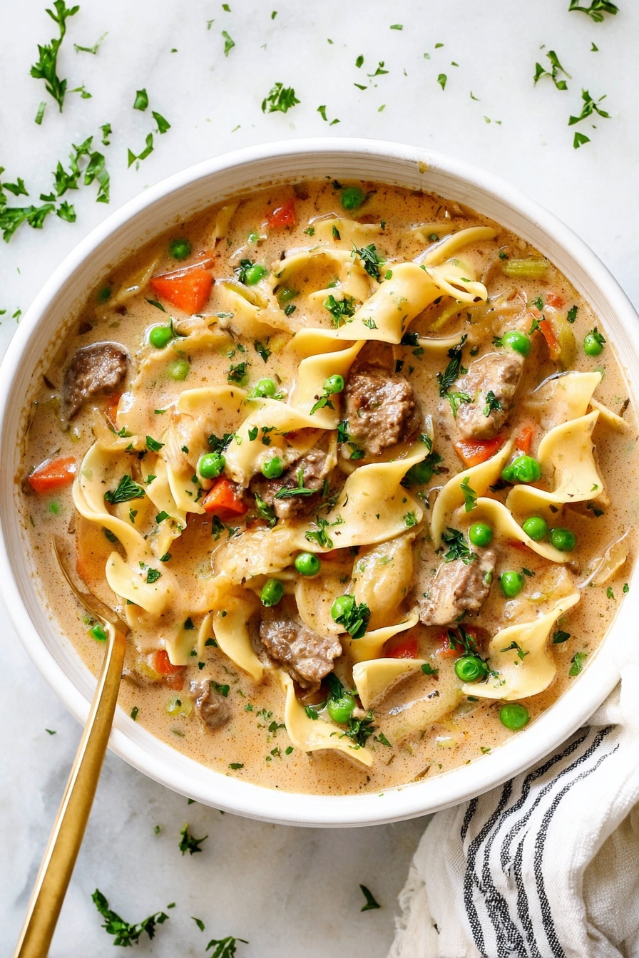 Hearty Beef Noodle Soup - Serving Suggestion