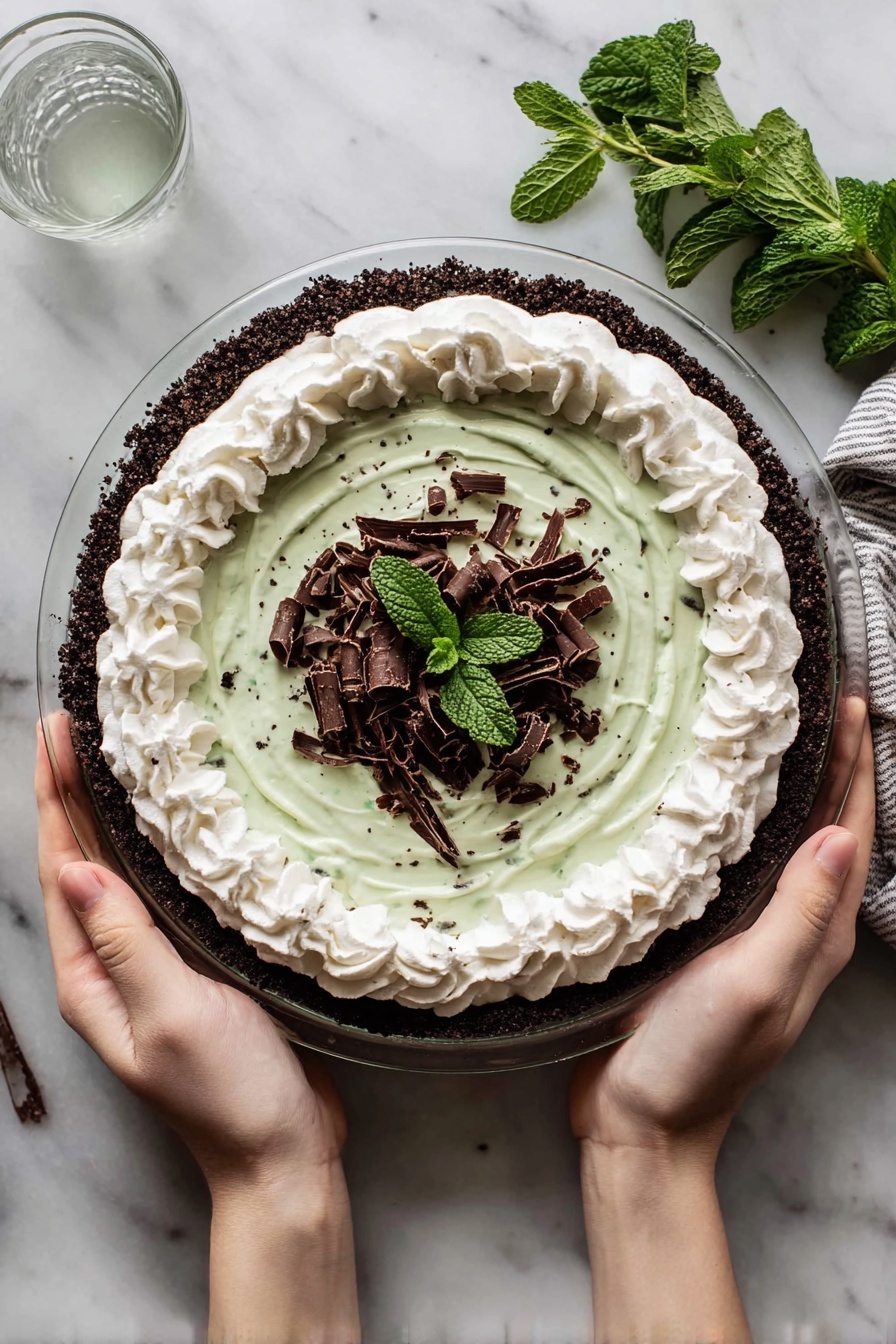 A pie with three layers is held by two woman's hands. The bottom layer is a dark chocolate crumb crust. The middle layer is pale green with small dark bits that look like mint leaves mixed in. On top, a thick ring of white whipped cream is spread in swirled shapes around the edge. In the center, there are curled dark chocolate shavings with a small sprig of fresh green mint leaves on top. The pie is on a white marbled surface with a small bunch of fresh mint and a clear glass cup nearby. Photo taken with an iphone --ar 2:3 --v 7